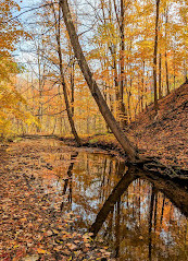 Wolf Country Valley