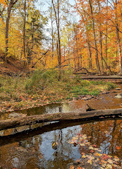 Wolf Country Valley