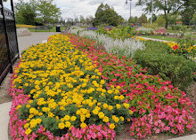 Chinguacousy Park Clock Circle