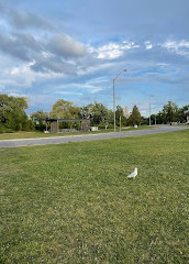 Chinguacousy Splash Pad