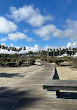 ShoreLine Aquatic Park