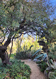 Rancho Los Alamitos Historic Ranch and Gardens