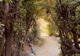 Rancho Los Alamitos Historic Ranch and Gardens