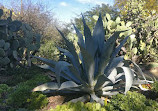 Rancho Los Alamitos Historic Ranch and Gardens