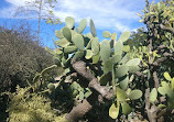 Rancho Los Alamitos Historic Ranch and Gardens