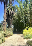 Rancho Los Alamitos Historic Ranch and Gardens