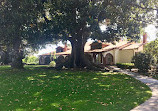 Rancho Los Alamitos Historic Ranch and Gardens