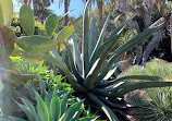 Rancho Los Alamitos Historic Ranch and Gardens