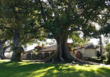 Rancho Los Alamitos Historic Ranch and Gardens