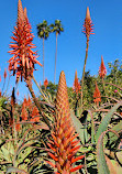 Rancho Los Alamitos Historic Ranch and Gardens