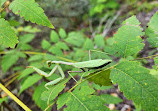 El Dorado Nature Center