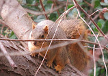 El Dorado Nature Center