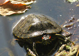 El Dorado Nature Center