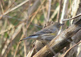 El Dorado Nature Center