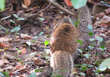 El Dorado Nature Center