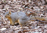 El Dorado Nature Center