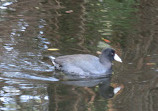 El Dorado Nature Center