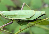 El Dorado Nature Center