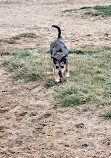 Redondo Beach Dog Park