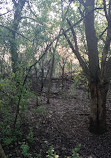 Red Oaks Nature Center