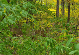 Red Oaks Nature Center