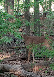 Red Oaks Nature Center