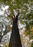 Red Oaks Nature Center