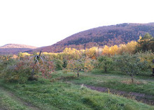 Au Pavillon de la Pomme