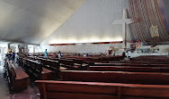 Basilica of Our Lady of Guadalupe