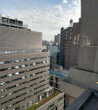 Manhattan Penthouse