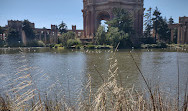 Palace of Fine Arts