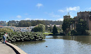 Palace of Fine Arts