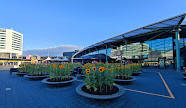 Amsterdam Schiphol Airport