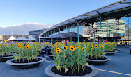 Amsterdam Schiphol Airport