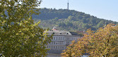 Charles Bridge