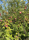 Riverview Orchards