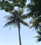 Lalbagh Botanical Garden Parking