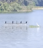 Lalbagh Botanical Garden Parking