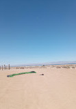 Salton Sea Campground