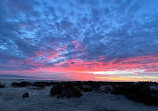 Salton Sea Campground