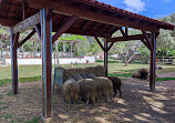 Quinta Pedagógica dos Olivais