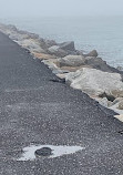 Huntington State park jetty