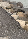 Huntington State park jetty