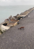 Huntington State park jetty