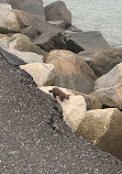 Huntington State park jetty