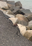 Huntington State park jetty