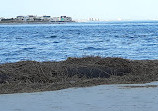 Murrells Inlet South Jetty