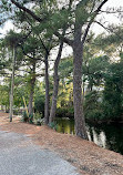 Ocean Lakes Family Campground