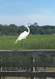 The Nature Center