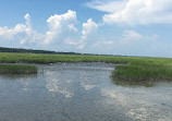 The Nature Center